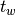 t_{w}